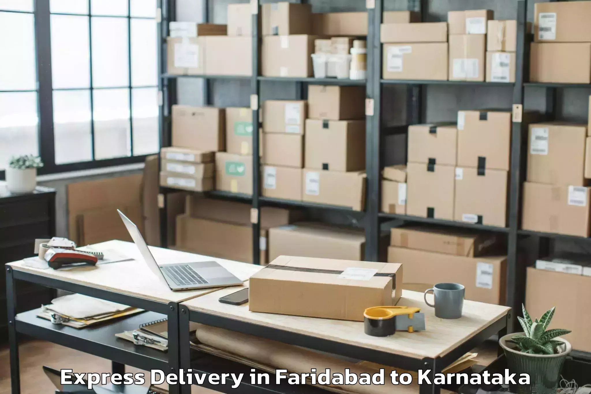 Book Faridabad to Muddebihal Express Delivery